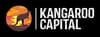 Spark Digital Capital